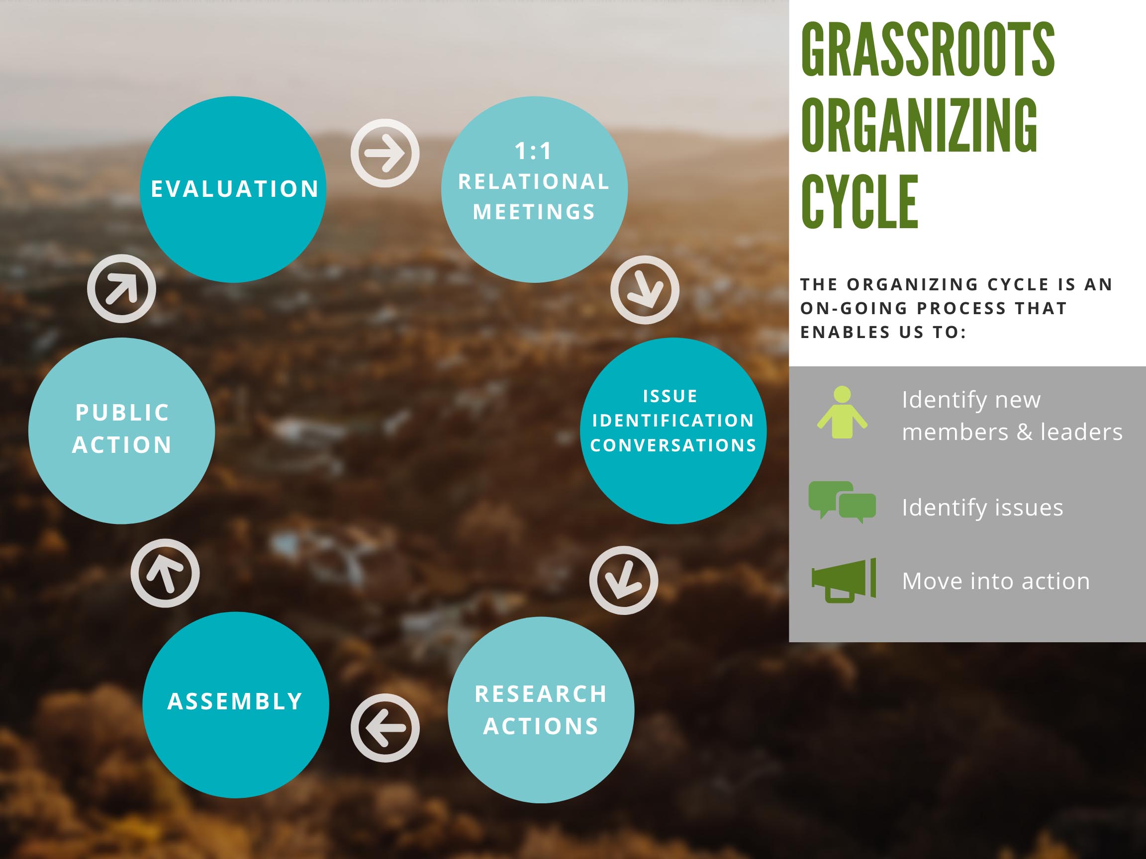 Organizing Cycle Graphic