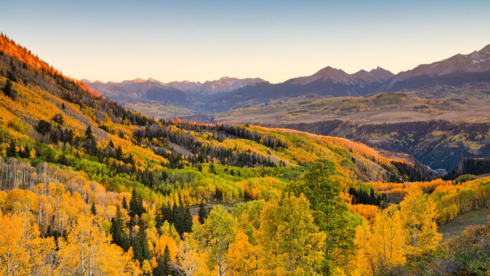 Act for West Slope forests and our climate! - Western Colorado Alliance ...