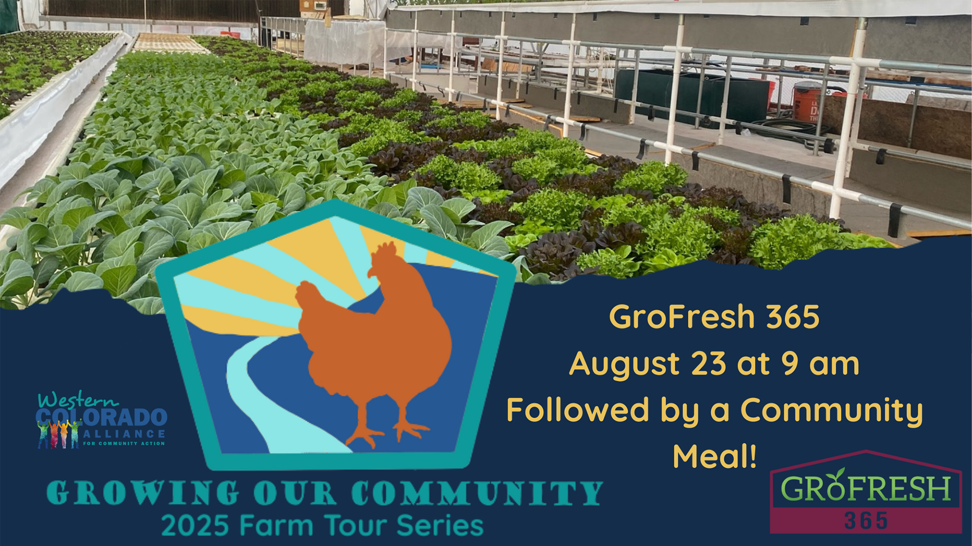 grofresh-web