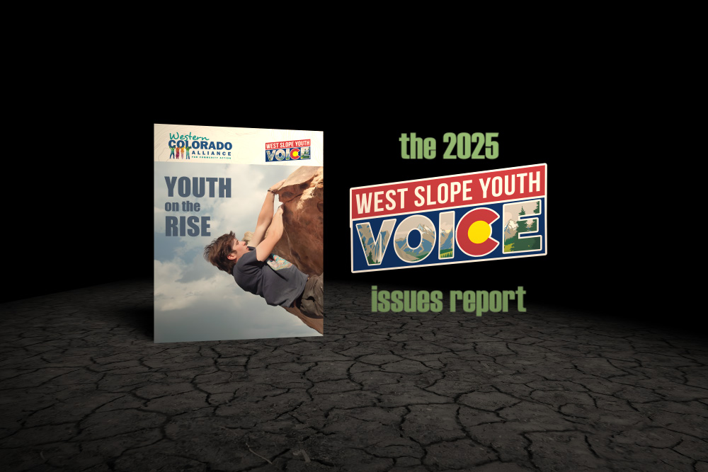 We see the cover of the 2025 WSYV Issues Report along with the WSYV logo and the words "issues report"