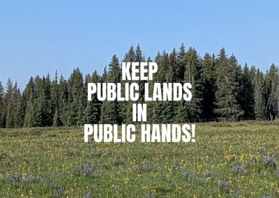 comment-writing-workshop-march-2026-blog-1000×667 We see a green Colorado field with trees on the horizon line and the words, "KEEP PUBLIC LANDS IN PUBLIC HANDS!" superimposed.