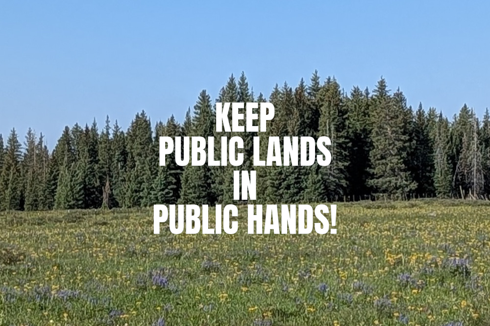 comment-writing-workshop-march-2026-blog-1000×667 We see a green Colorado field with trees on the horizon line and the words, "KEEP PUBLIC LANDS IN PUBLIC HANDS!" superimposed.