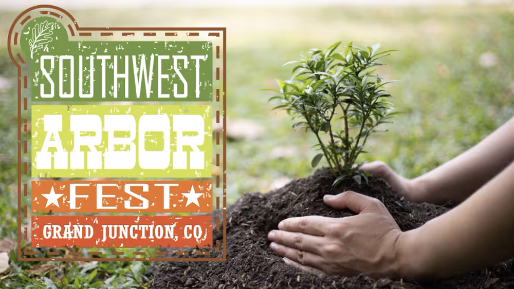 A close-up of hands planting a tiny tree in soil with a lawn in soft focus behind it. We also see the Southwest Arbor Fest logo.