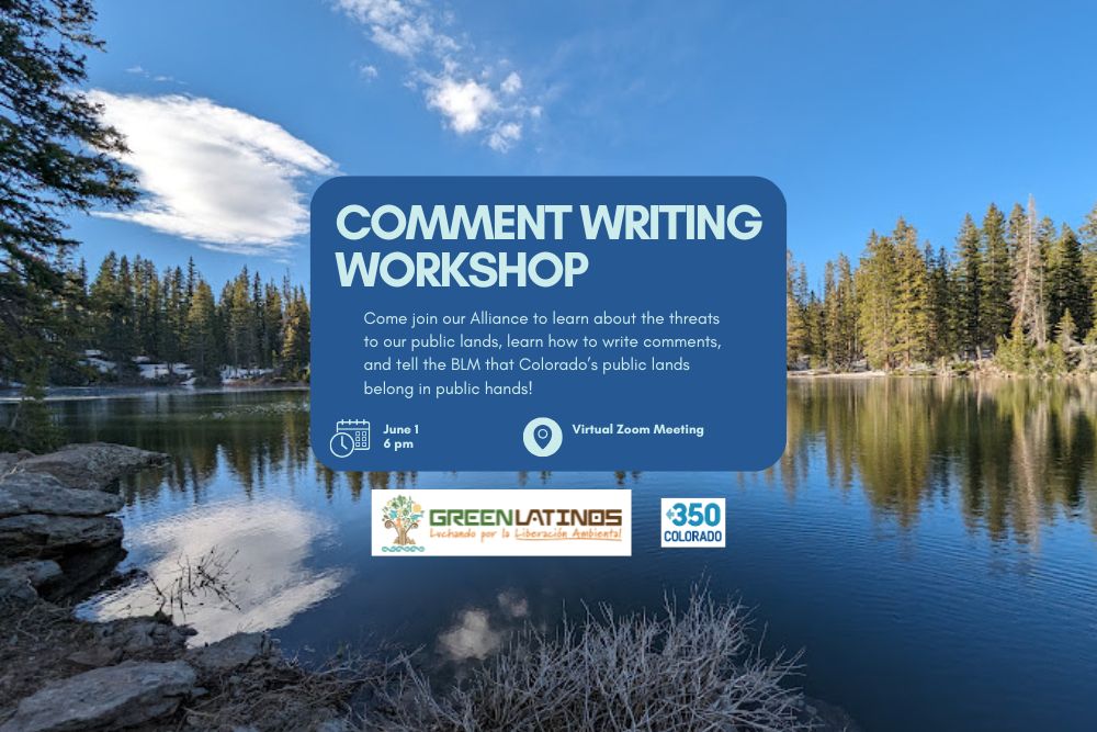 Comment Writing Workshop – BLOG version We see a tranquil Colorado lake with a text box headlined "Comment Writing Workshop"