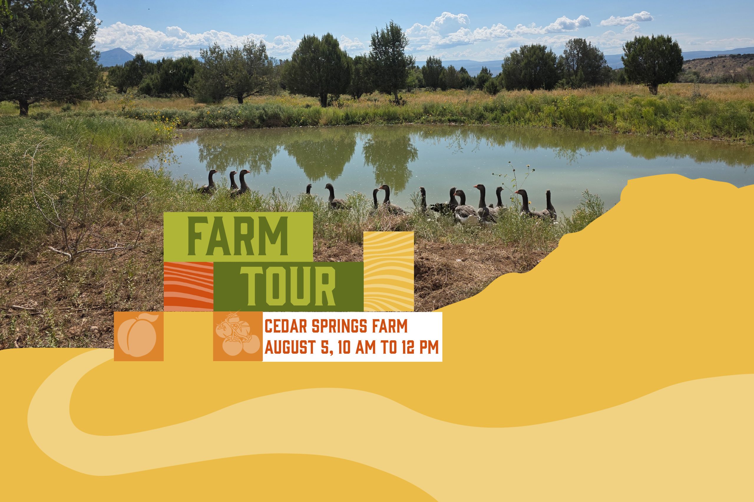 Photo of a pond with geese overlaid with colorful block design and the text "Farm Tour, Cedar Springs Farm, August 5, 10 am to 12 pm"
